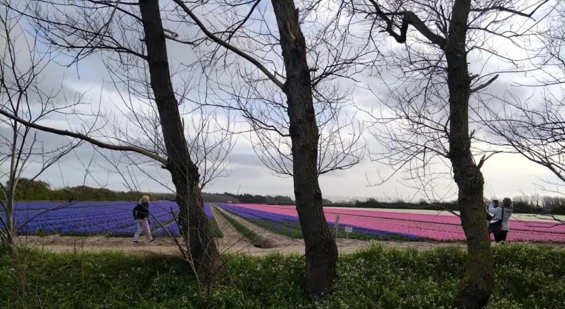 Vila Trouz Ar Mor Penmarcʼh Exteriér fotografie
